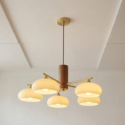 Elliptical Persimmon Chandelier, view 42
