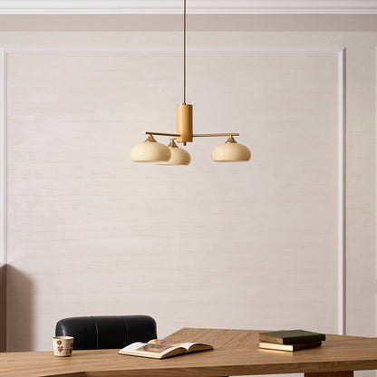 Elliptical Persimmon Chandelier, view 50