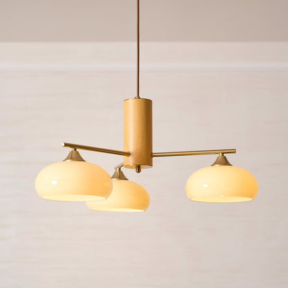 Elliptical Persimmon Chandelier, view 47