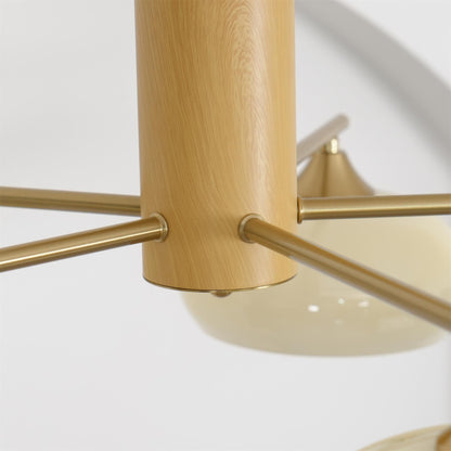 Elliptical Persimmon Chandelier, view 44