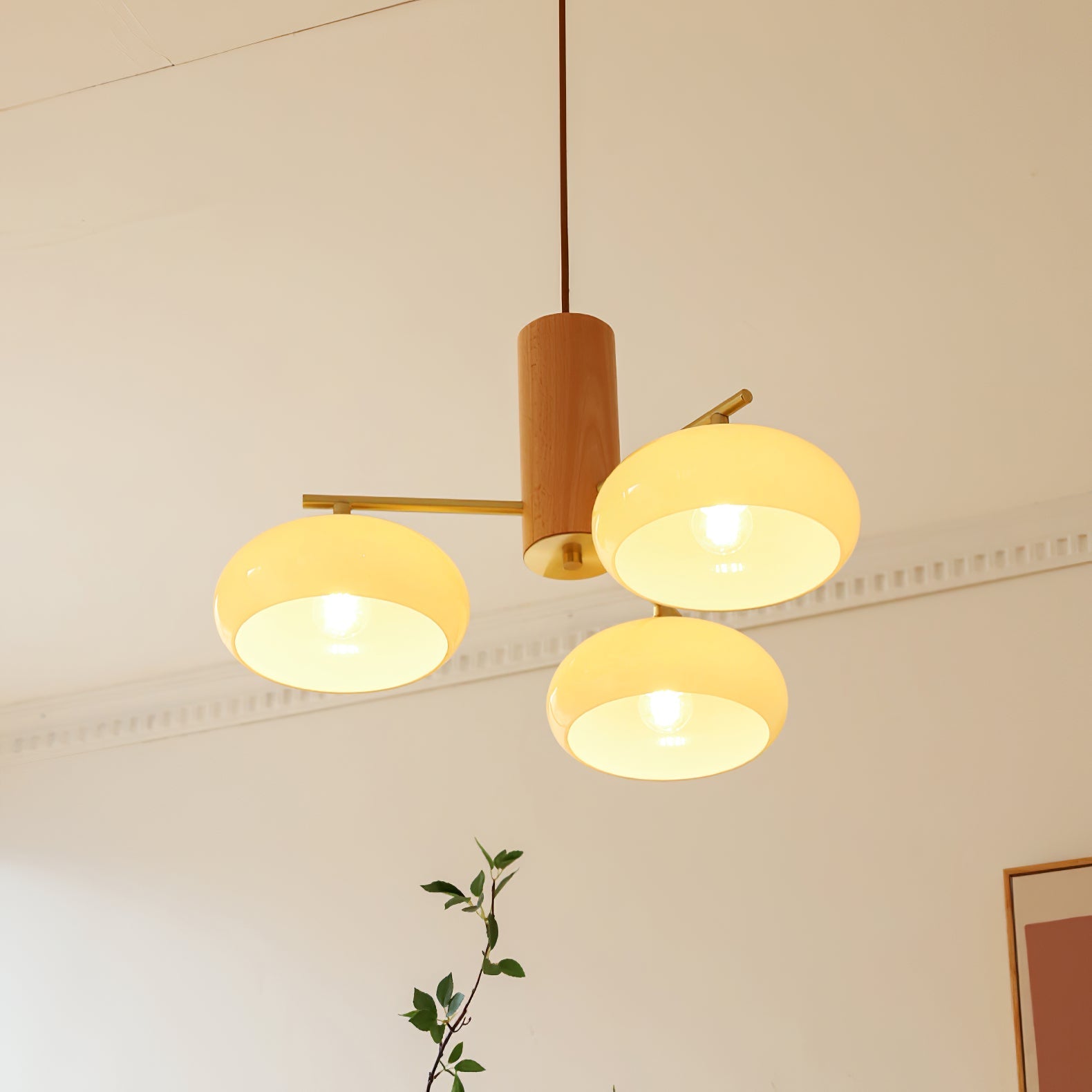 Elliptical Persimmon Chandelier, view 5