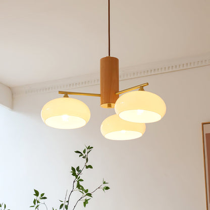 Elliptical Persimmon Chandelier, view 28