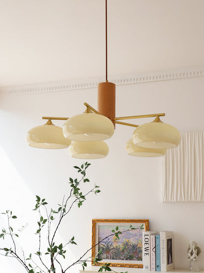 Elliptical Persimmon Chandelier, view 41